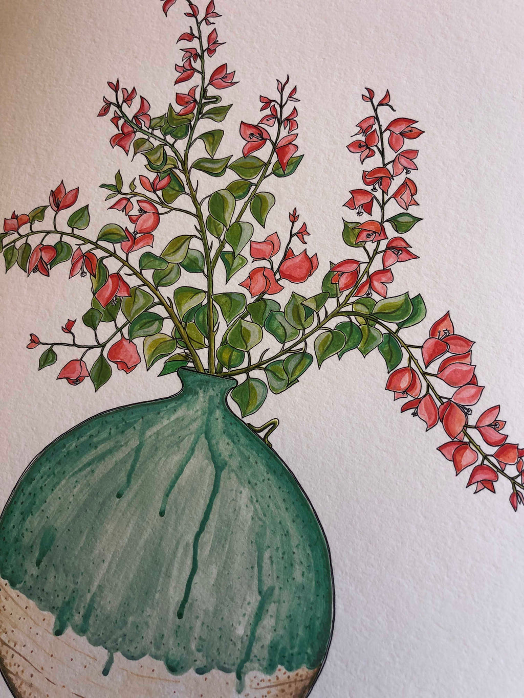 Bougainvillea Bowl Print